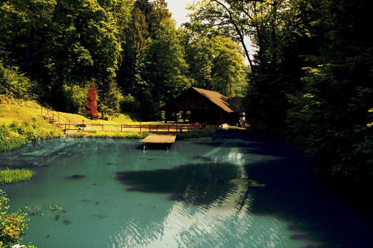 Hotel Salamandra Hoczew Bagian luar foto